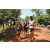 Team 31 / Raid l'Arbre Vert Cambodge - VTT