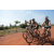 Team 22 / Raid l'Arbre Vert Cambodge - VTT