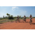 Team 50 / Raid l'Arbre Vert Cambodge - VTT