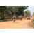 Team 58 / Raid l'Arbre Vert Cambodge - VTT