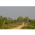 Raid l'Arbre Vert Cambodge - VTT