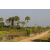 Team 57 / Raid l'Arbre Vert Cambodge - VTT