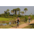 Team 57 / Raid l'Arbre Vert Cambodge - VTT
