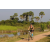 Team 57 / Raid l'Arbre Vert Cambodge - VTT