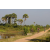 Team 28 / Raid l'Arbre Vert Cambodge - VTT