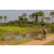 Team 28 / Raid l'Arbre Vert Cambodge - VTT