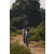 Team 28 / Raid l'Arbre Vert Cambodge - VTT