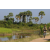 Team 11 / Raid l'Arbre Vert Cambodge - VTT
