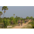 Team 11 / Raid l'Arbre Vert Cambodge - VTT