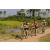 Team 15 / Raid l'Arbre Vert Cambodge - VTT