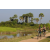 Team 11 / Raid l'Arbre Vert Cambodge - VTT