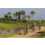 Team 76 / Raid l'Arbre Vert Cambodge - VTT