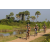 Team 76 / Raid l'Arbre Vert Cambodge - VTT