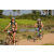 Team 76 / Raid l'Arbre Vert Cambodge - VTT