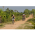 Team 65 / Raid l'Arbre Vert Cambodge - VTT