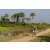 Team 65 / Raid l'Arbre Vert Cambodge - VTT