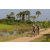 Team 65 / Raid l'Arbre Vert Cambodge - VTT