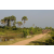 Raid l'Arbre Vert Cambodge - VTT