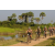 Team 25 / Raid l'Arbre Vert Cambodge - VTT