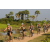 Team 25 / Raid l'Arbre Vert Cambodge - VTT