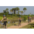 Team 63 / Raid l'Arbre Vert Cambodge - VTT