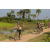 Team 63 / Raid l'Arbre Vert Cambodge - VTT