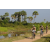 Team 51 / Raid l'Arbre Vert Cambodge - VTT