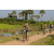 Team 31 / Raid l'Arbre Vert Cambodge - VTT