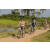 Team 31 / Raid l'Arbre Vert Cambodge - VTT