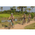 Team 77 / Raid l'Arbre Vert Cambodge - VTT