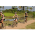 Team 77 / Raid l'Arbre Vert Cambodge - VTT