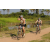 Team 29 / Raid l'Arbre Vert Cambodge - VTT