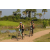 Team 71 / Raid l'Arbre Vert Cambodge - VTT