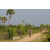 Team 23 / Raid l'Arbre Vert Cambodge - VTT