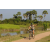 Team 23 / Raid l'Arbre Vert Cambodge - VTT
