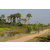 Team 23 / Raid l'Arbre Vert Cambodge - VTT