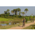 Team 23 / Raid l'Arbre Vert Cambodge - VTT