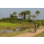 Team 23 / Raid l'Arbre Vert Cambodge - VTT