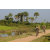 Team 80 / Raid l'Arbre Vert Cambodge - VTT