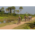 Team 61 / Raid l'Arbre Vert Cambodge - VTT