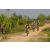 Team 72 / Raid l'Arbre Vert Cambodge - VTT