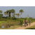 Team 72 / Raid l'Arbre Vert Cambodge - VTT