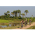Team 72 / Raid l'Arbre Vert Cambodge - VTT