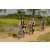 Team 72 / Raid l'Arbre Vert Cambodge - VTT