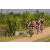Raid l'Arbre Vert Cambodge - VTT