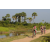 Team 64 / Raid l'Arbre Vert Cambodge - VTT