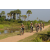 Team 14 / Raid l'Arbre Vert Cambodge - VTT