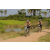 Team 14 / Raid l'Arbre Vert Cambodge - VTT
