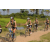 Team 10 / Raid l'Arbre Vert Cambodge - VTT