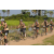 Team 10 / Raid l'Arbre Vert Cambodge - VTT